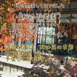 富士の見える梅園❁奥村不老園のツイート画像