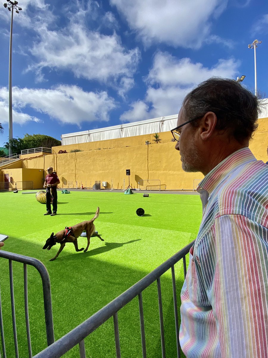 infecar's tweet photo. Ahora mismo tiene lugar el taller de detección de venenos en los animales con Manuel Amador, director General de Medio Ambiente del Cabildo de Gran Canaria y su equipo.
#AnimalDeCompañía #Animales #Feria #RecintoFerial #GranCanaria #Animundo2022 #Taller https://t.co/9JI2leG1rT