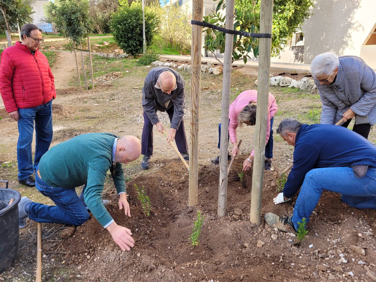 ajuntpalma's tweet photo. Un centenar de veïns han sembrat avui més de 3⃣0⃣0⃣plantes d’estepes, arboceres o savines al parc situat entre els carrers Andreu Jaume i Nada i Martí Boneo de Son Dameto

Una acció més del calendari de sembres populars per assolir l'#Objectiu10Mil

▶️https://t.co/ApNGepJBnU https://t.co/PFoOn1GcI7