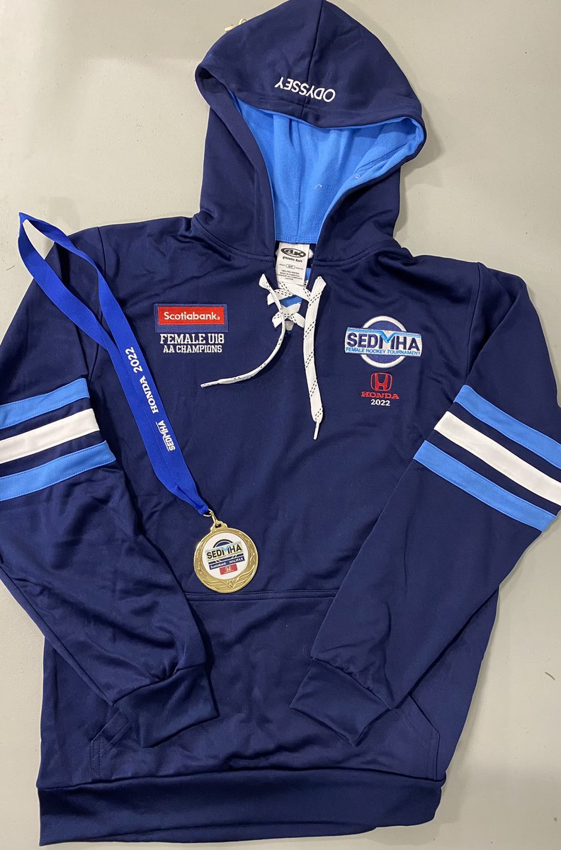Awards for Odyssey Champions - Banner, medals and Hoodies