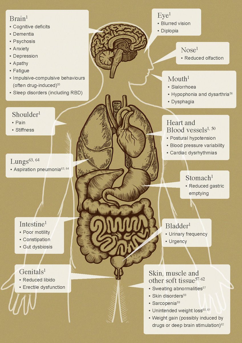 firthingtons's tweet photo. Parkinson’s non motor symptoms.
There’s at least two of these that don’t affect me 😄👊 https://t.co/9RiHnHX0va