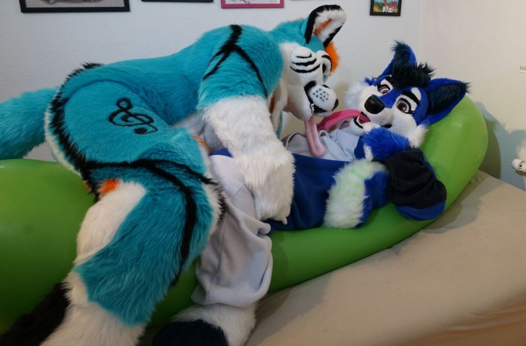 CrackDV's tweet photo. 🎈Look! They're watching 😳!

📸: @ServalDog 💙 https://t.co/30xuEqu6zR