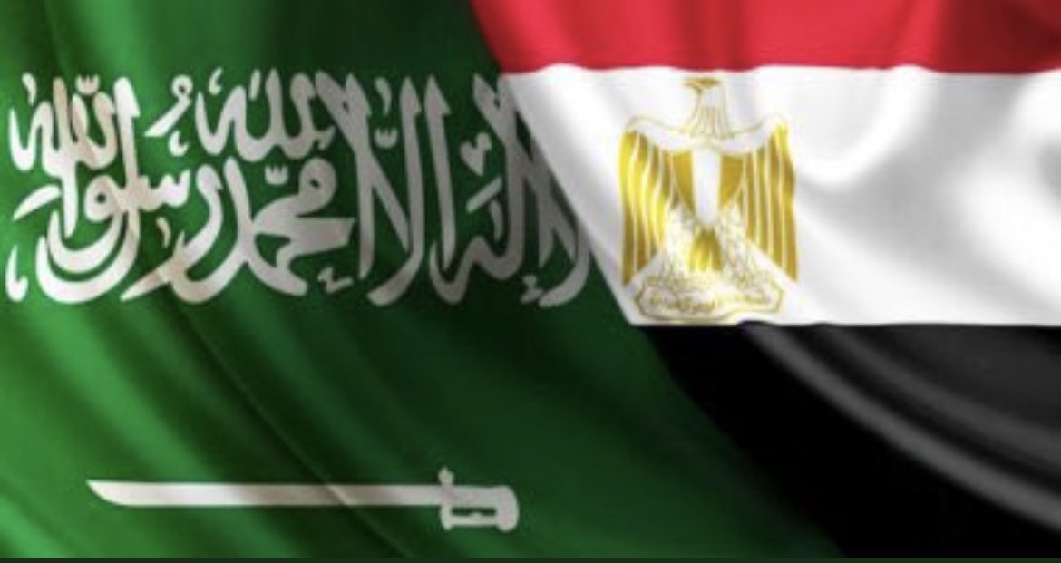مصر والسعودية نسيج واحد يا قلب الأسد كلنا مع السعودية