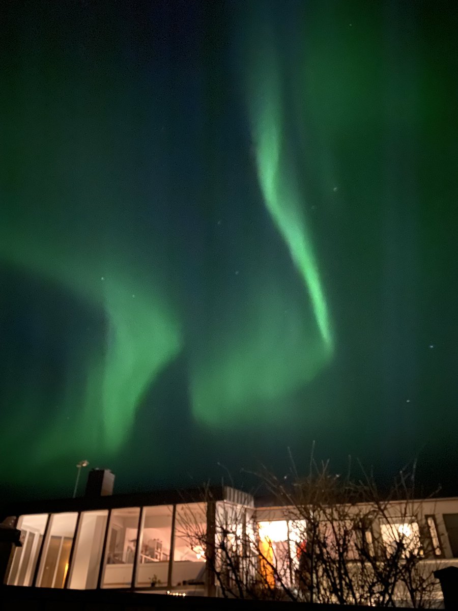 Dr Emily Lethbridge tweet media