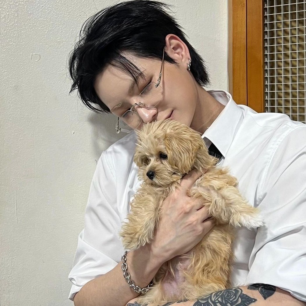 dhssource's tweet image. #한세 221127 ig update 🥹