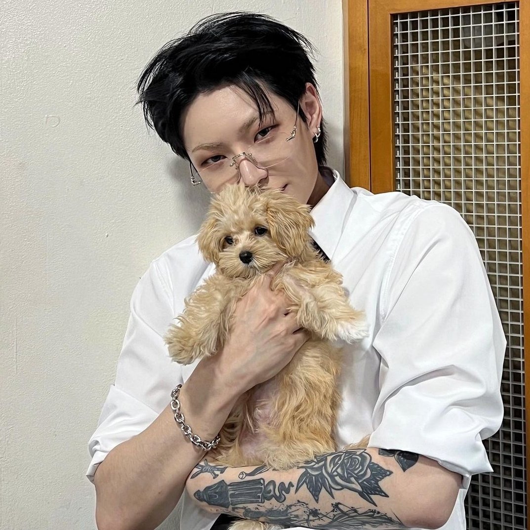 dhssource's tweet image. #한세 221127 ig update 🥹