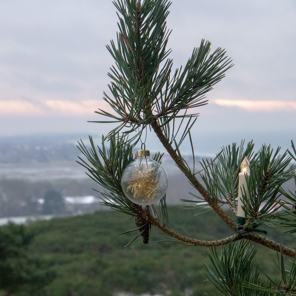 hiddenseeforum's tweet photo. Allen einen schönen 1.#Advent 🕯 Genießt die gemeinsame Zeit in Familie, mit Freunden und Euren Lieben.
#hiddensee #inselhiddensee #advent #ersteradvent #adventszeit #kerzen #inselblick #hiddenseeforum #inselliebe #hiddenseeliebe https://t.co/IifS8WAF8s https://t.co/fNJ5Imy6fy