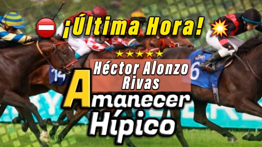 JESSGARCAMENDO4's tweet photo. #Hipismo Desde La Candelaria Hoy #Dom27Nov De Abanico a Maturin @AmanecerHipico1 en vivo ¡Sii desde las 10am! Disfrutarás de la mejor orientación para #LaRinconada🐎Con Juan Pérez @hectoralonzo29 y @JESSGARCAMENDO4 A través de @pestanatv 👉 https://t.co/avLp1s9Kms https://t.co/7DfA4Br8tC