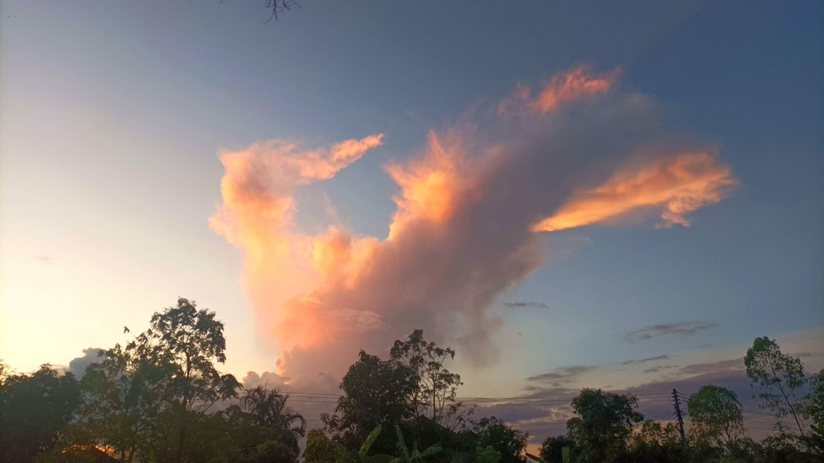 JimReaper11's tweet photo. @greenparty_ie @EamonRyan I live in Thailand, have done for 15 years now. My wife is a rice farmer.
  Can you tell me what kind of CATASTROPHIC CLIMATE CHANGE I’m experiencing here in the tropics? It was really nice here today. https://t.co/qpK0qQYL87