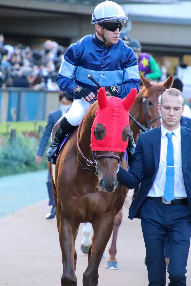 donutumauma's tweet photo. 2022/11/27*ジャパンカップ🏆
#シムカミル 🐴
#simcamille 🐴🇫🇷
堂々と先頭を周回されてました!耳まで覆う赤メンコ、耳の先がぽわんと丸いのが可愛くてニヤニヤしてしまった😊 https://t.co/6FDUZzcKUD
