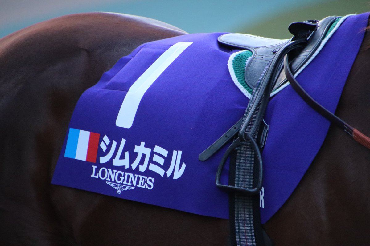 donutumauma's tweet photo. 2022/11/27*ジャパンカップ🏆
#シムカミル 🐴
#simcamille 🐴🇫🇷
堂々と先頭を周回されてました!耳まで覆う赤メンコ、耳の先がぽわんと丸いのが可愛くてニヤニヤしてしまった😊 https://t.co/6FDUZzcKUD
