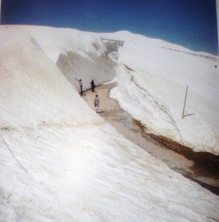 granadaoldpics1's tweet photo. Los granadinos nos ponemos de “malafollá” cuando miramos a nuestra Sierra y la vemos en tan lamentable estado. Advierto que estas imágenes de los años 70  en los alrededores de la Hoya de la Mora pueden herir la sensibilidad. ¿Cambio climático? Yo lo tengo claro @websierranevada https://t.co/K2v7UXCiqW