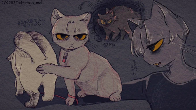 furry猫塑黒+白マイ武私设毛色 