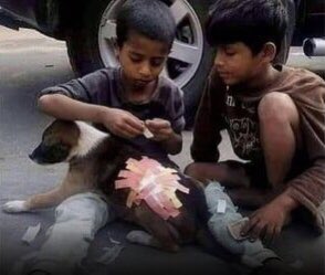 Merhamet her gönüle nasip olmaz.

Beşiktaşlıyım … 🦅#HayvanaSiddetSuctur 🚫 
#izmirdeprem #göztepe
