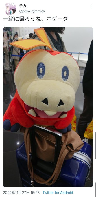 Twitterで画像を見る