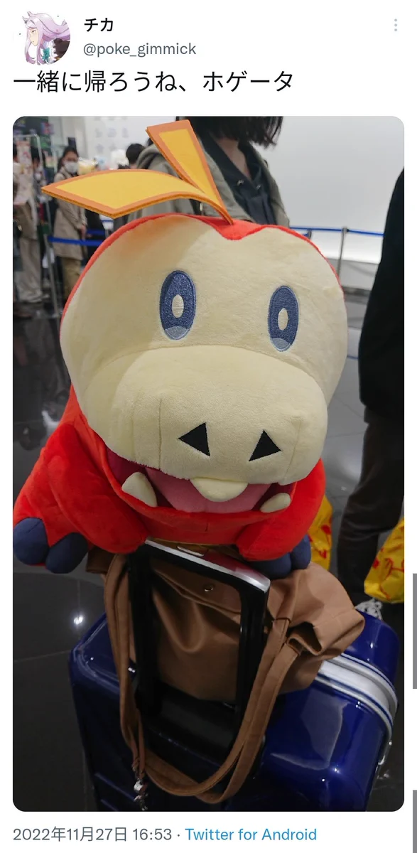 まさかの置き忘れww大事に持ち帰るはずのホゲータが電車内にww