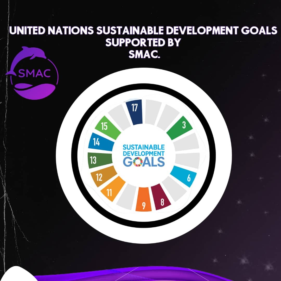 Intelligent_F's tweet photo. Small contribution with a big impact
 We support 13 NGOs within the framework of the UN Sustainable Development Goals.

 Due to their revolutionary technology, our smart #intelligentfluids intrinsically meet 10 of the 17 #Sustainable Development Goals of the #UnitedNations. https://t.co/Cd7Ners6dg