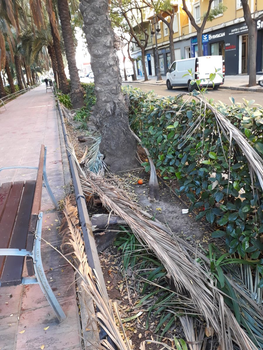 José Tarrega tweet media