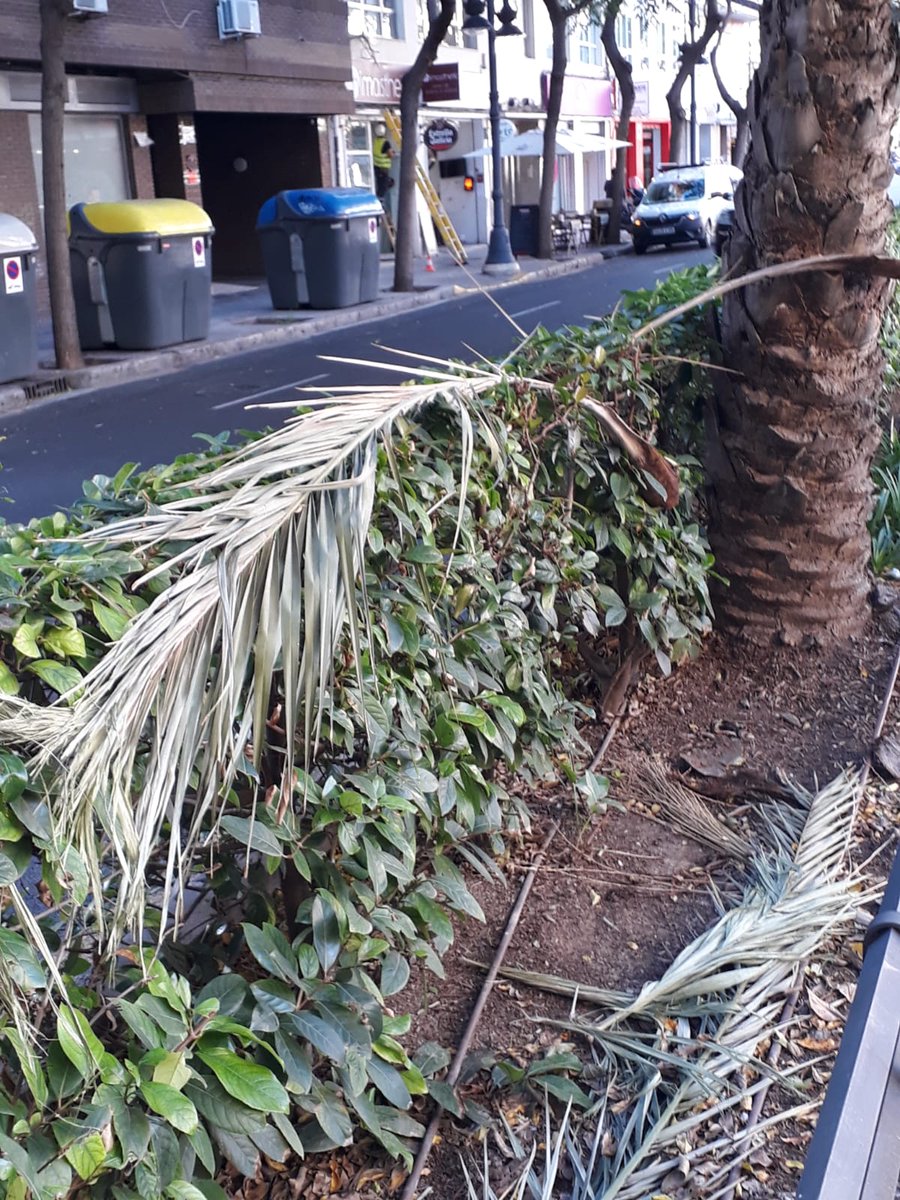 José Tarrega tweet media