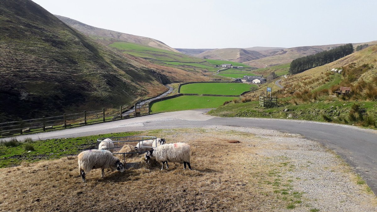 Tony Openshaw (@tonytwo) on Twitter photo HAPPY LANCASHIRE DAY to everyone in this great County of ours. Enjoy this day and everyday in the best place to live, work and visit! #LancashireDay #LANCASHIRE <a href="/VisitLancashire/">visitLancashire.com</a> <a href="/forestofbowland/">Forest of Bowland National Landscape</a> <a href="/LancashireDay/">#LancashireDay</a> HAPPY LANCASHIRE DAY to everyone in this great County of ours. Enjoy this day and everyday in the best place to live, work and visit! #LancashireDay #LANCASHIRE <a href="/VisitLancashire/">visitLancashire.com</a> <a href="/forestofbowland/">Forest of Bowland National Landscape</a> <a href="/LancashireDay/">#LancashireDay</a>