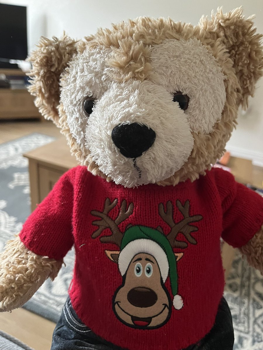 I’m a happy bear today as Mommy has let me put on my Christmas jumper. I just need grumpy Daddy to let the festive family out to play 🎅 🎄