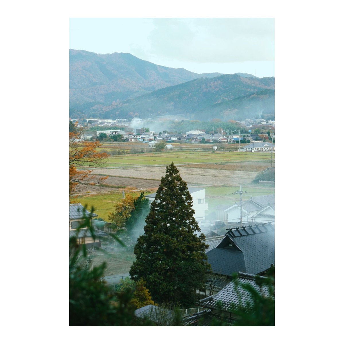 NmitoBko_Rsu's tweet photo. 秋色深まる丹波篠山

https://t.co/77xoSXNT8E【YouTube】 https://t.co/vElytUzY80