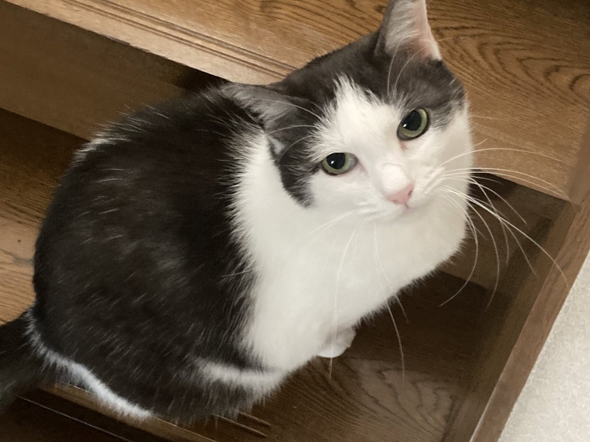 もうちょい可愛い写真撮らせてよ 