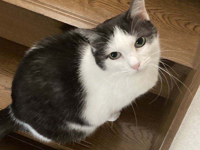 もうちょい可愛い写真撮らせてよ 