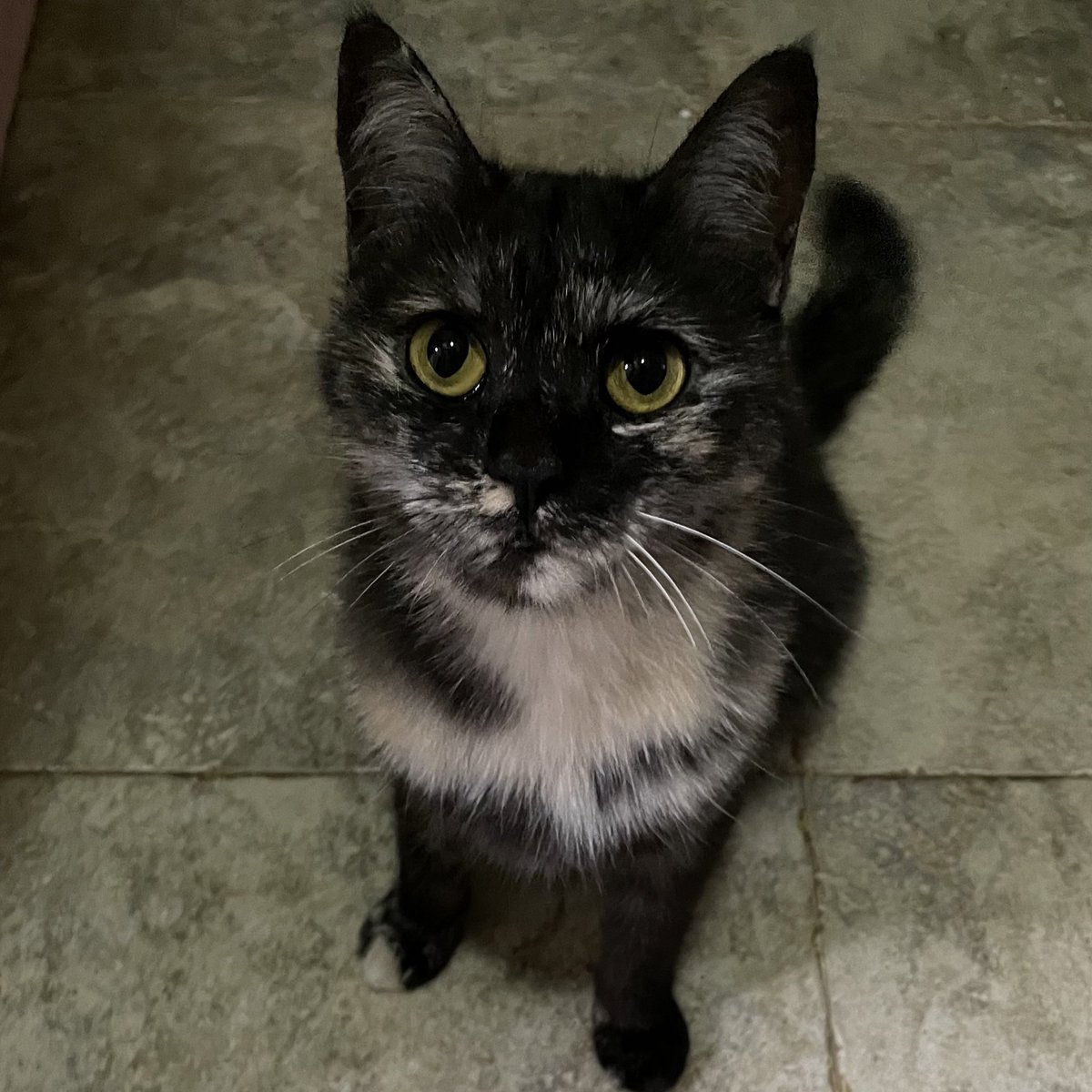 saffy (@fartysaffy) on Twitter photo 