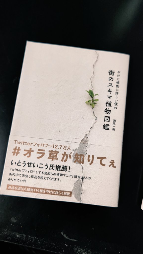 大勧め やけに植物に詳しい僕の街のスキマ植物図鑑