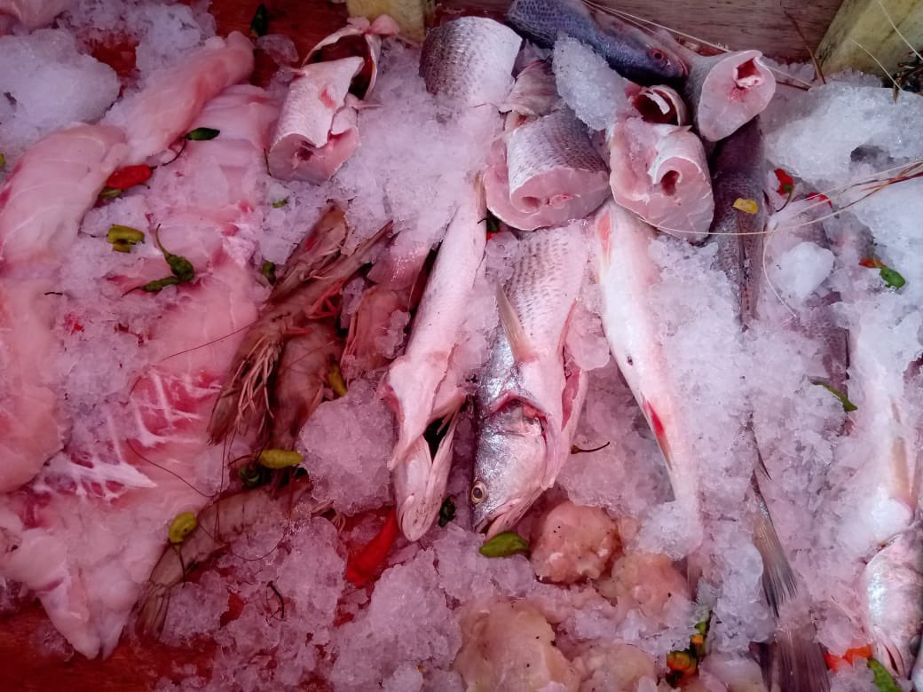 FaboliKamara's tweet photo. Fresh seafood delivery ; come and show local seaman love #seafood #Liberia #freshseafood https://t.co/DqfLUnhvav