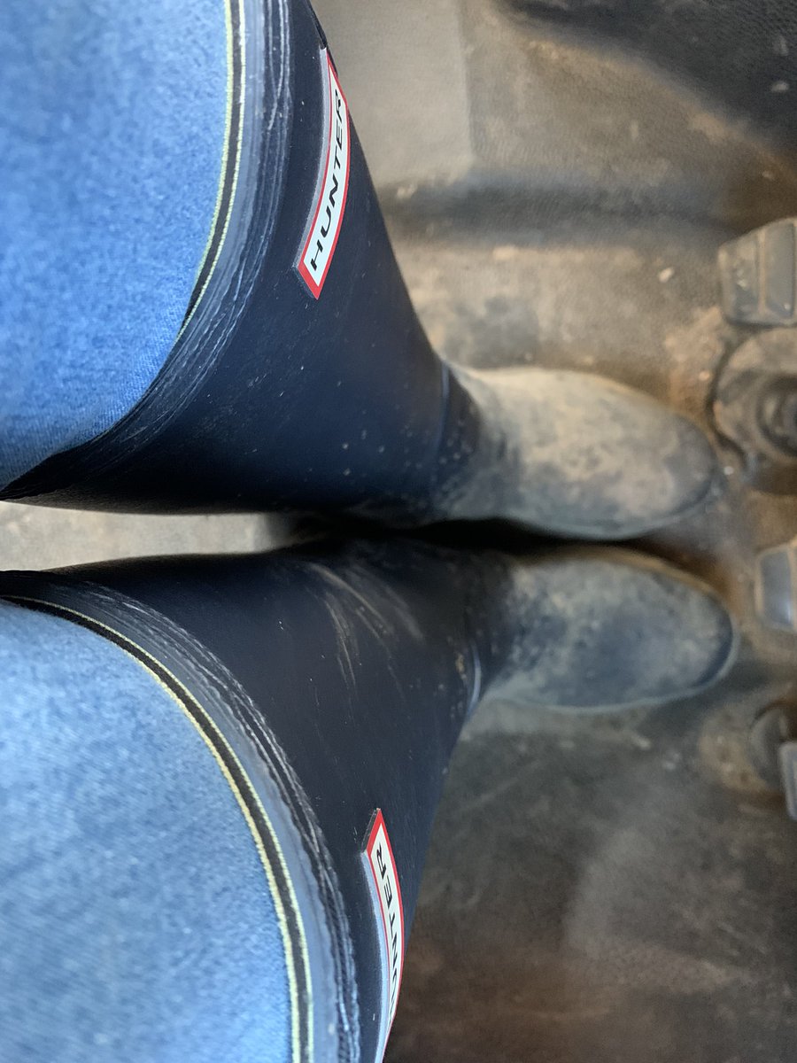 Winter #wellies and with these #HunterBalmoral #welly #boots on my feet it’s going to be a winter of #toastytoes! #rubber #Hunter #wellington