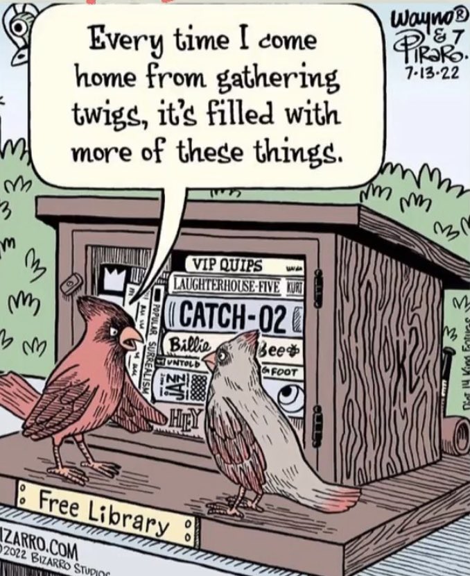SUNDAY COMICS and a bookish one at that! Enjoy!
gracesammon.net #author #writers #writerslife #Radio #podcast #birds #birding #library #Little #littlelibrary