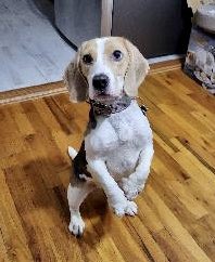 Keith Olbermann tweet media