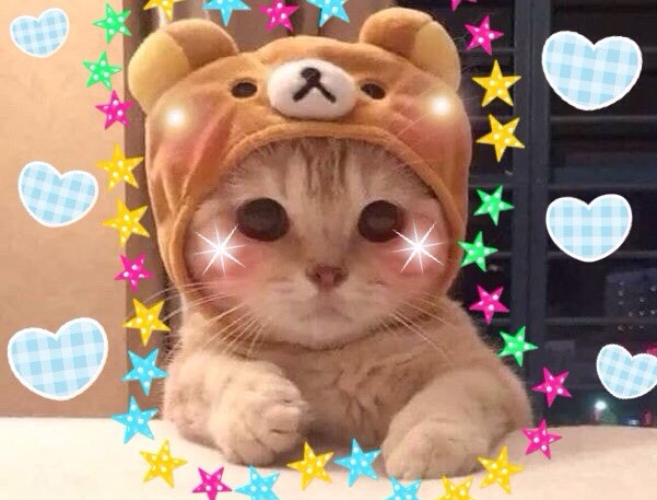 Hello! I'm new in this space. My bf showed me <a href="/ether/">ETHER</a> project, I was so inpired and I decided to create a twitter account to post here my arts and to be closer to nft community! Sooo u will see smth very soon! But now u can look at this cutie! <3 <3 <3