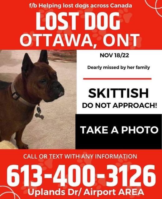 boom 99.7 tweet media