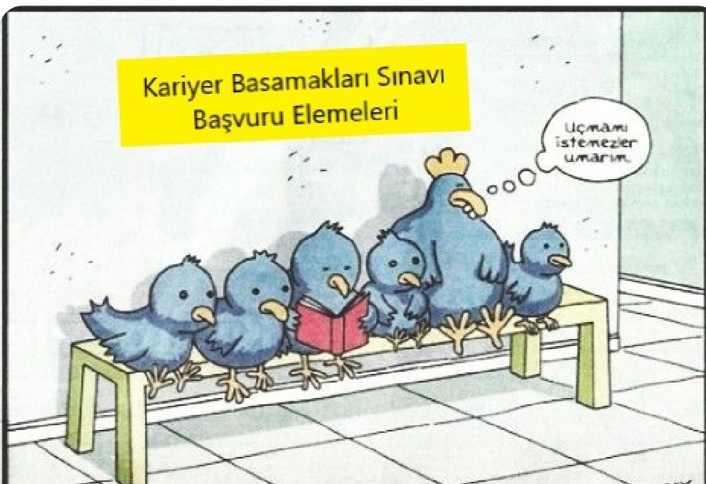 Karacalo3Zeynep's tweet photo. Sınava başvurulamasın diye tuzak kurulmuş sanki!
#6BinMağdurÖğretmen #ÖgretmeninDerdiNe #KBSmağduruÖĞRETMENLER #ÖğretmenKBSyegiremedi #OgretmenimeMaas25bin #MebSinavBasvuruMagdurlari #KBSbaşvuruMağdurları #MebinUtancGunu #öğretmenizbiriz @tcmeb @egitimsen @egitimis @nejlakurul https://t.co/01bsAZeGr2