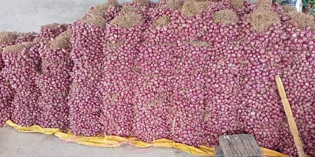 eWings747's tweet photo. @ChairAndyBau Native Sibuyas🌰

Dry Lasuna(ilocos harvest) 

Kaya stock up to 6 months
Actual sample po😘 

Sa mahal ng Sibuyas ngayon magstock na tayo🤩 Di pwedi maginarte kung nagtitipid🙂 Dito tayo sa Kaya ng Budget.

Huwag paKupal mga Pinklangaw🪰🪰🪰 https://t.co/aa6EA9zRky