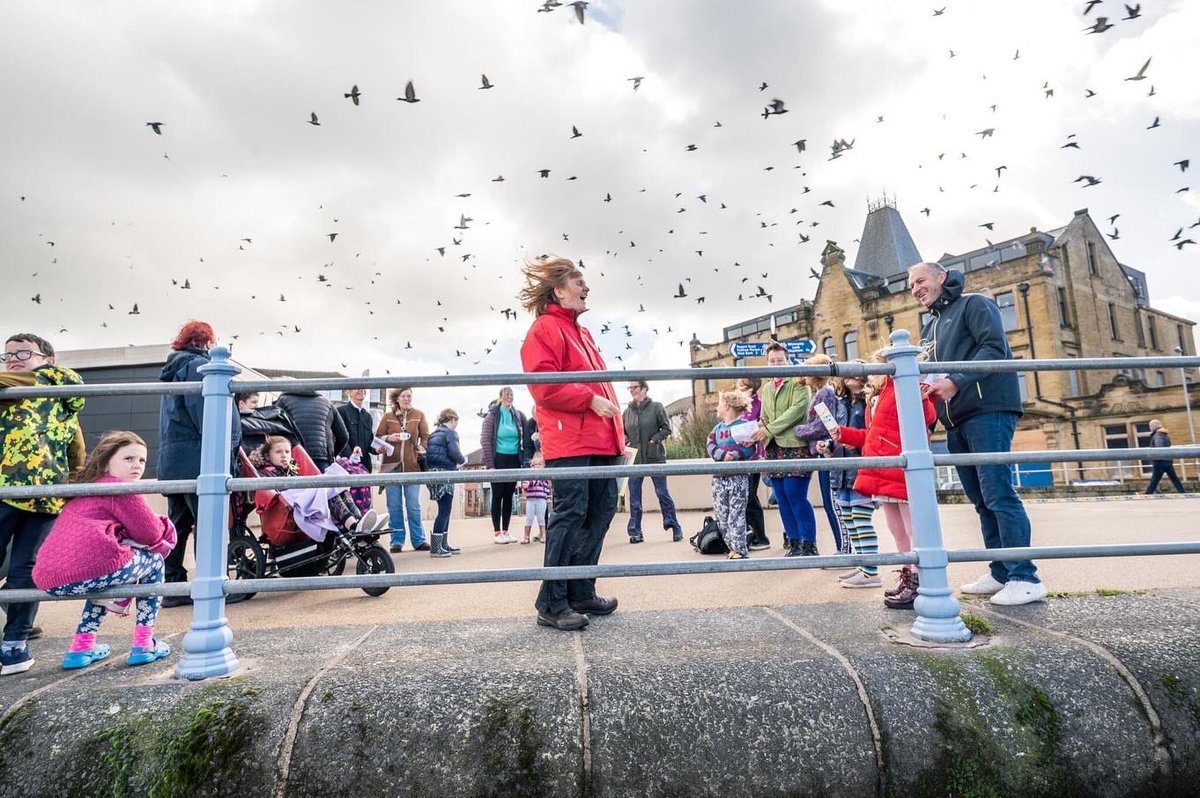 More Music tweet media