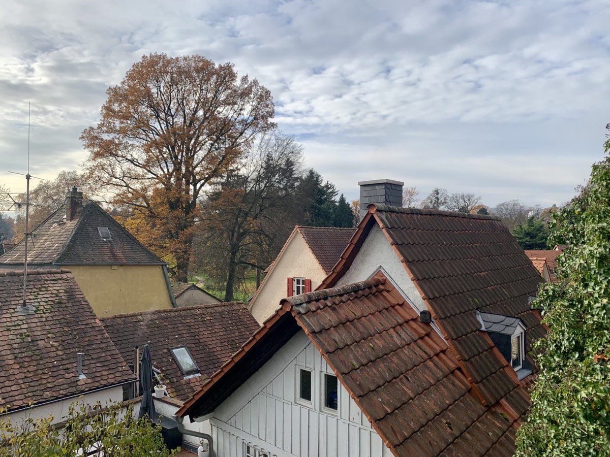 sonjabohne's tweet photo. Ausflug der Woche. https://t.co/w8zWr8lnsf