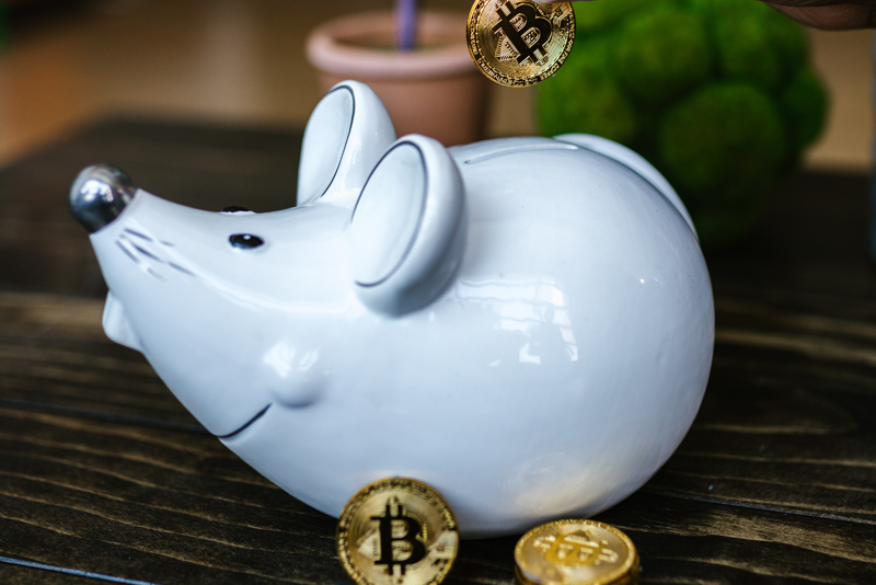 ChestnutWealth's tweet photo. 8 Low-Risk Investments With High Returns 👉🏾 https://t.co/IYUmVPCTOt | #chestnutwealth #fintech #GrowYourChestnut https://t.co/1OPJbO8hUh