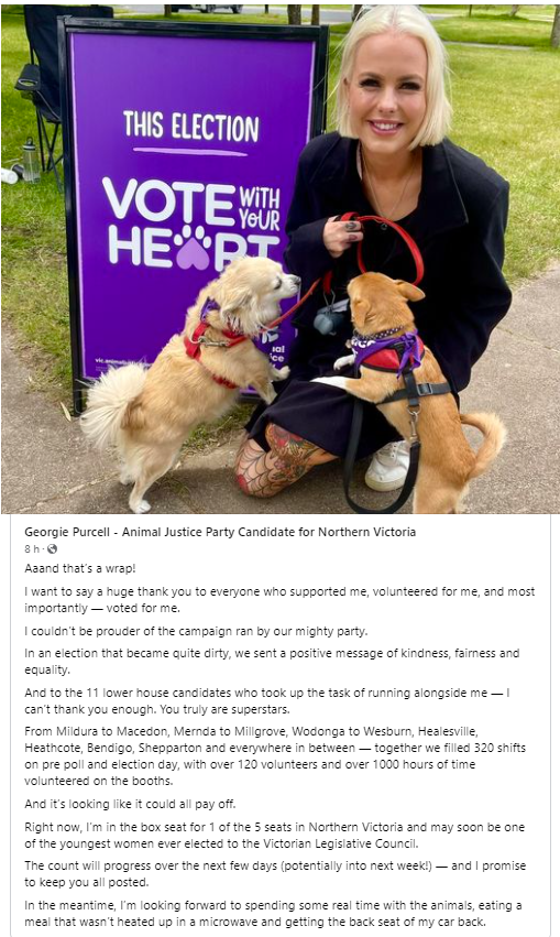 AnimalPartyIE's tweet photo. Both good & bad news from #Victoria State elections from our #Australian sister Animal Justice Party:
@georgievpurcell @AJP_Victoria Candidate for #NorthernVictoria is almost certain to be elected. But sadly @AndyMeddickMP has lost his seat. 🦘🐨🐶🐬🦢🐍🐝🐊 #VictoriaVotes https://t.co/aAOgRVdVwH