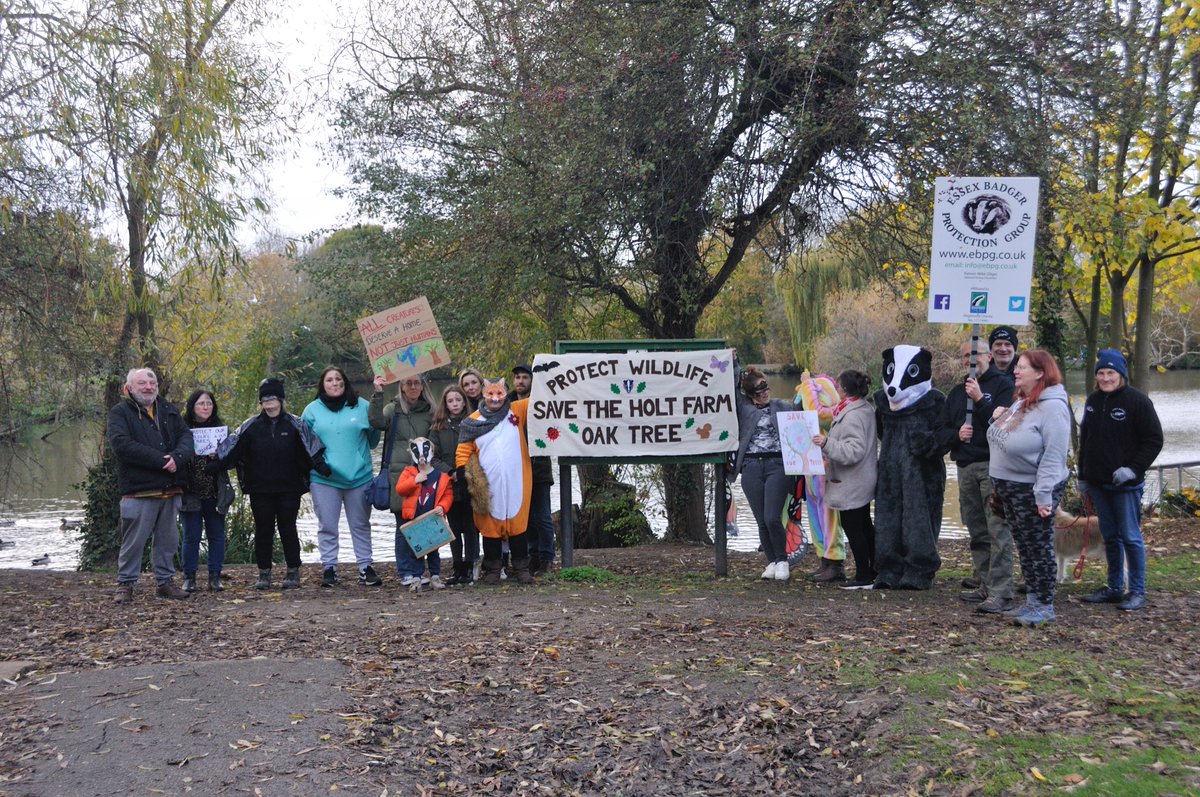 holt_farm_oak's tweet photo. Great mini #WalkForWildlife2 yesterday, joined by friends from @EssexBadgers 🦡🦊🌳🐾

Looking forward to the big one with @ChrisGPackham in the spring 🐾🦊🐿🦡🦔 https://t.co/MzSxdD8JGE