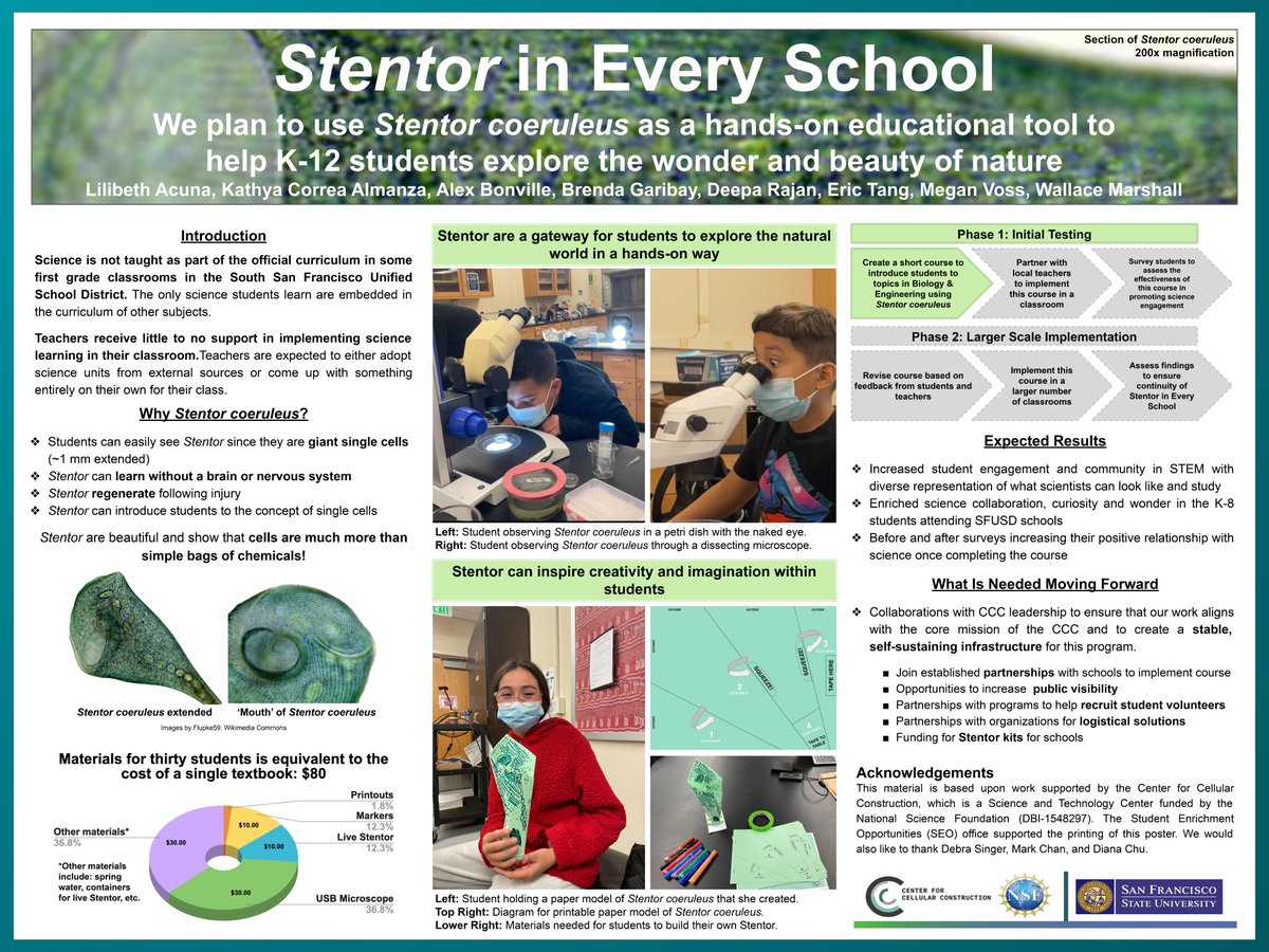 @Synchangel They are SO charismatic! We're starting a 'Stentor in Every School' initiative to bring these cells to classrooms across SF, since kids seem to love Stentor and they are a gateway to exploring nature in general @kathyacorreaa @scientistbrenda @c3STC