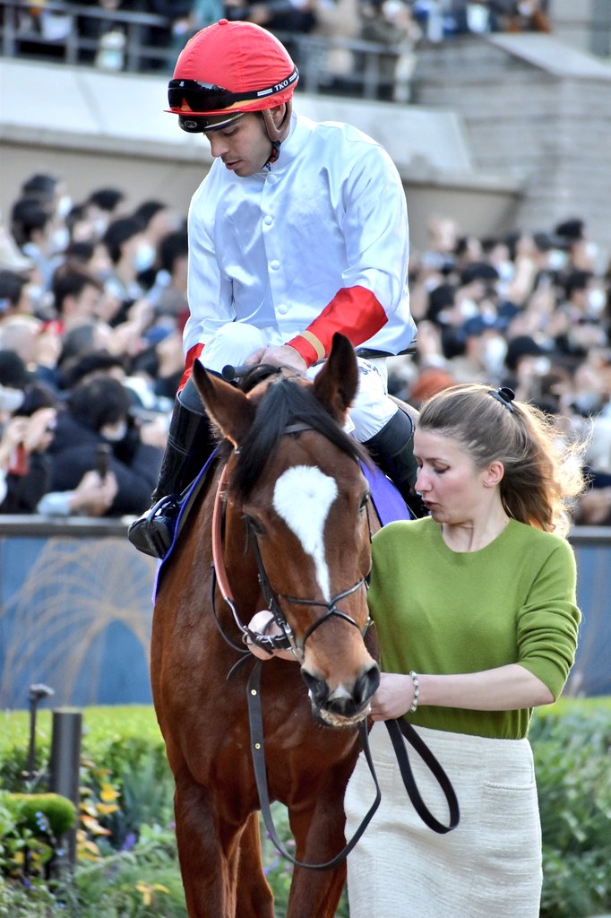 7Q339Tgja5b0jv3's tweet photo. 今日のギュイヨン！グランドグローリー！
#グランドグローリー 
#GrandGlory
#マキシム・ギュイヨン
#MaximeGuyon
#ロンジン賞ジャパンカップ
#JapanCup
#東京競馬場 https://t.co/zstirbYTF1