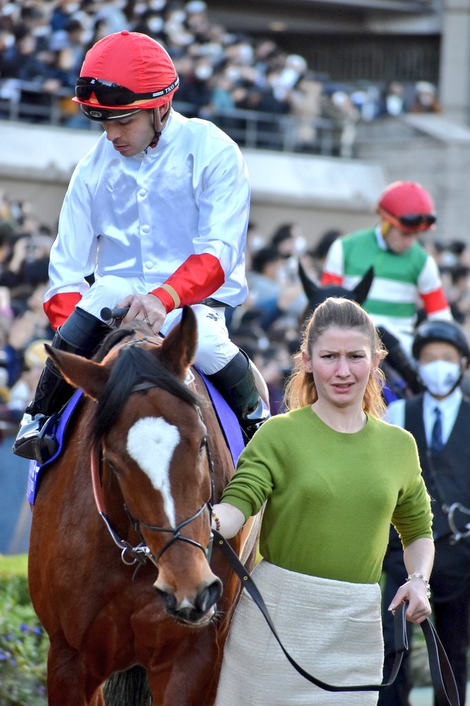 7Q339Tgja5b0jv3's tweet photo. 今日のギュイヨン！グランドグローリー！
#グランドグローリー 
#GrandGlory
#マキシム・ギュイヨン
#MaximeGuyon
#ロンジン賞ジャパンカップ
#JapanCup
#東京競馬場 https://t.co/zstirbYTF1