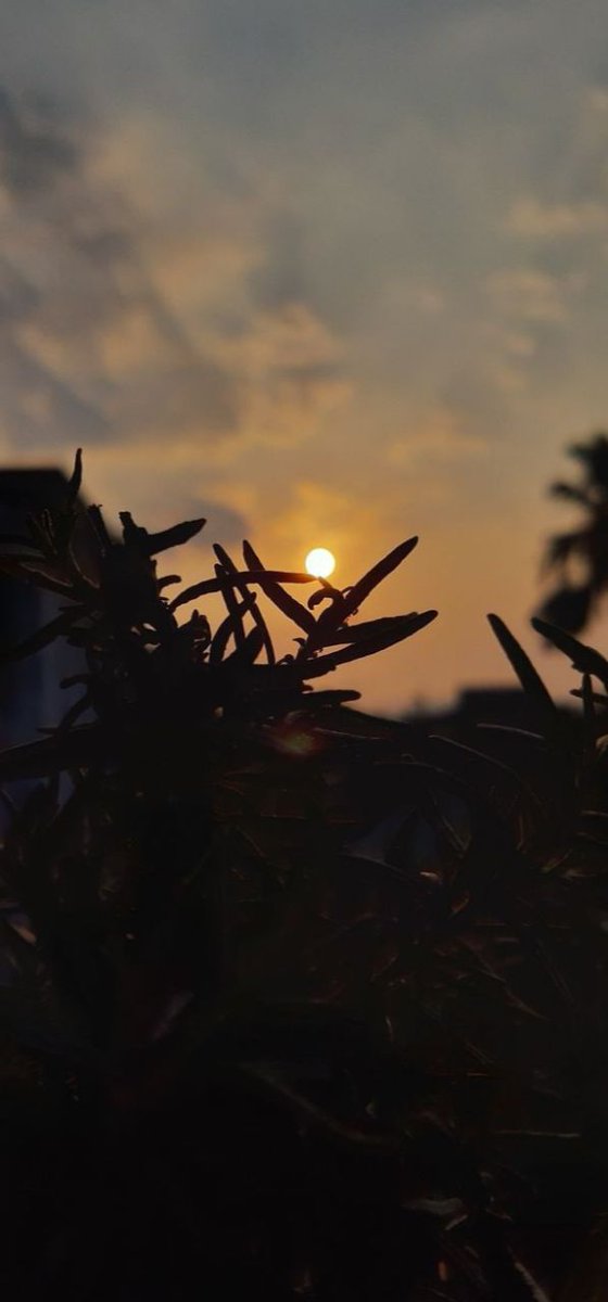 salonich289's tweet photo. Evening is a good time to look back at your day and think about all the things that you have done Enjoy your evening with positive thoughts". https://t.co/Rq2YecEvQW