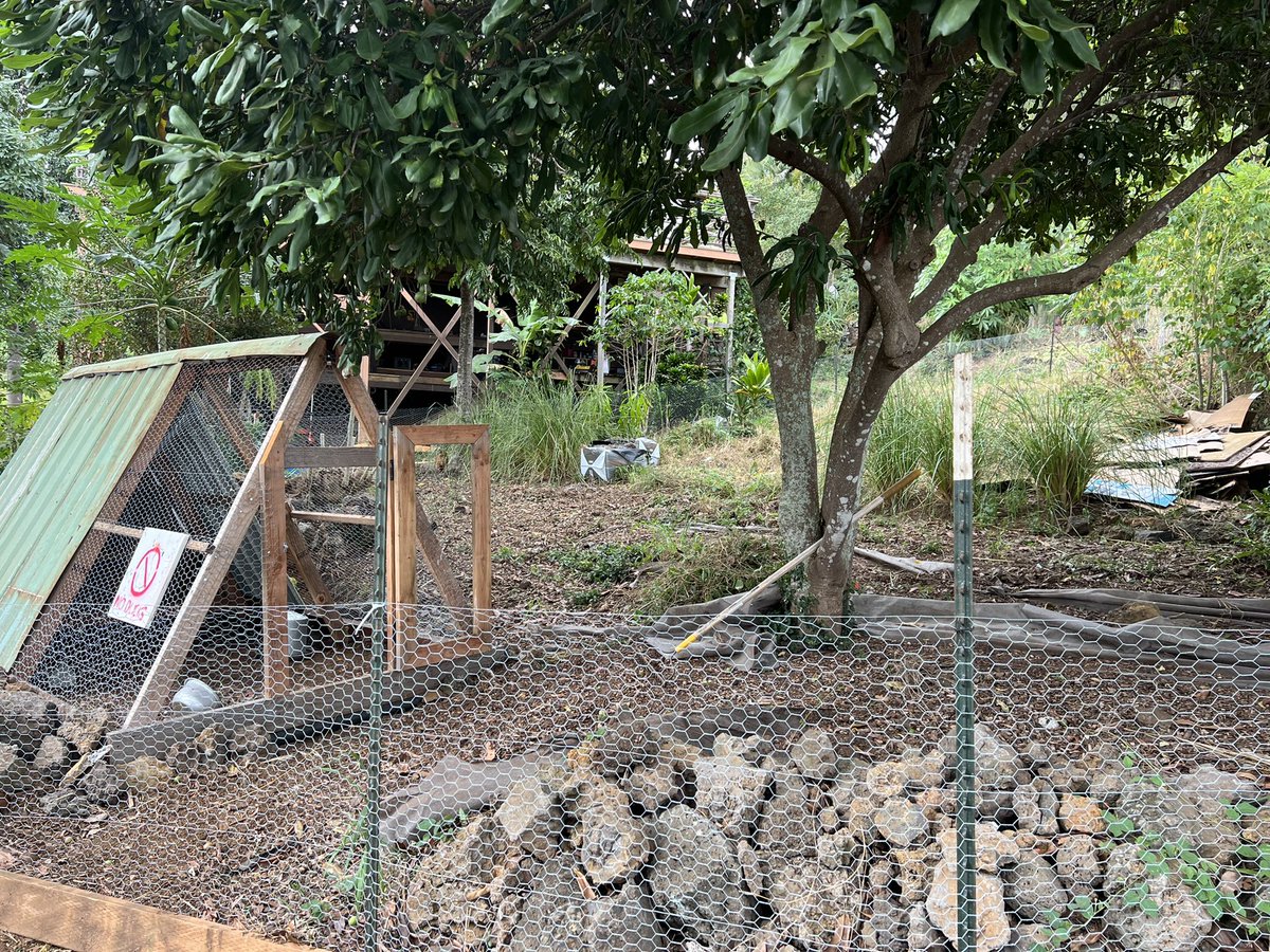 9thWAVeOffGrid's tweet photo. #9thWAVe
#9thWAVeOffGrid
#LovetreeAlchemy
#CodyDarcyDesigns
 
It’s a beautiful thing when ideas, action, alignment , agency along with a raised effort to improve systems come together and make #sustainable solutions …always Aloha 

\m/ https://t.co/jV3CEfbjPr