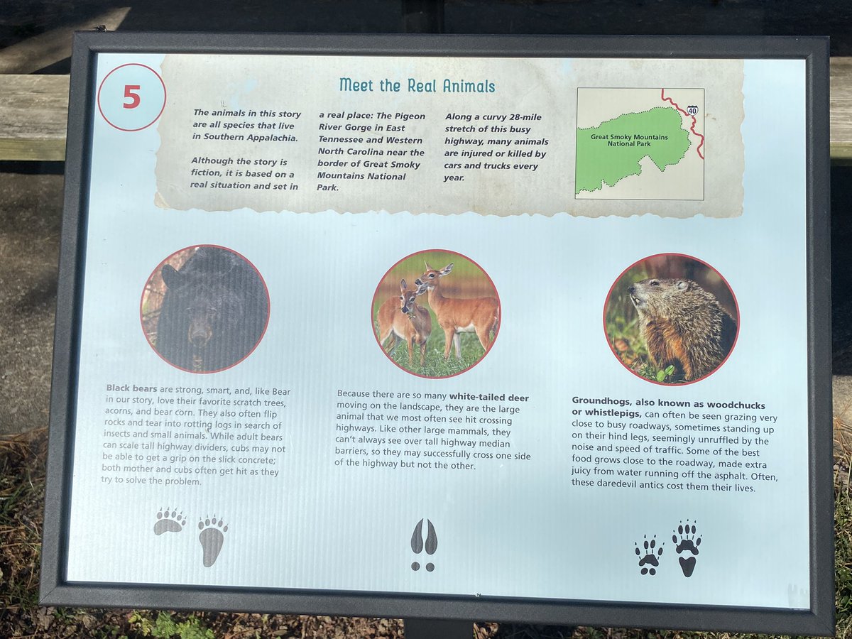 AppRedPanda's tweet photo. Huge shoutout to whoever is responsible for updating the signs on the Erwin Linear Trail to inform visitors on the rich heritage and biodiversity in the region! Great job! This is model outreach that we need in cities. @erwinrecord #cityplanning #outreach https://t.co/lRZvk8leTw