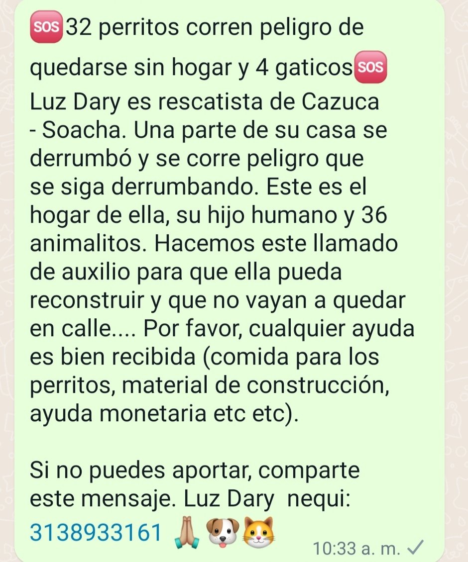AntoAleCastaed1's tweet photo. https://t.co/pSYWfuw7Gt🆘🆘🆘🆘 https://t.co/6RffMb6hIf